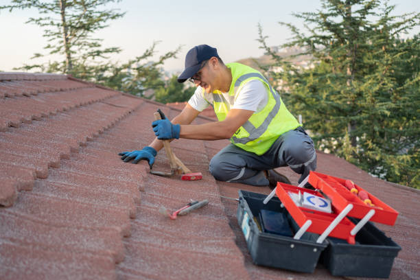 Best Roof Maintenance Services  in Columbia Falls, MT