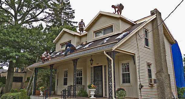 Best Best Roofing Contractors  in Columbia Falls, MT